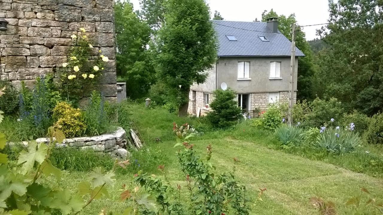 Au Domaine Des Oiseaux Bed & Breakfast Montredon  Ngoại thất bức ảnh